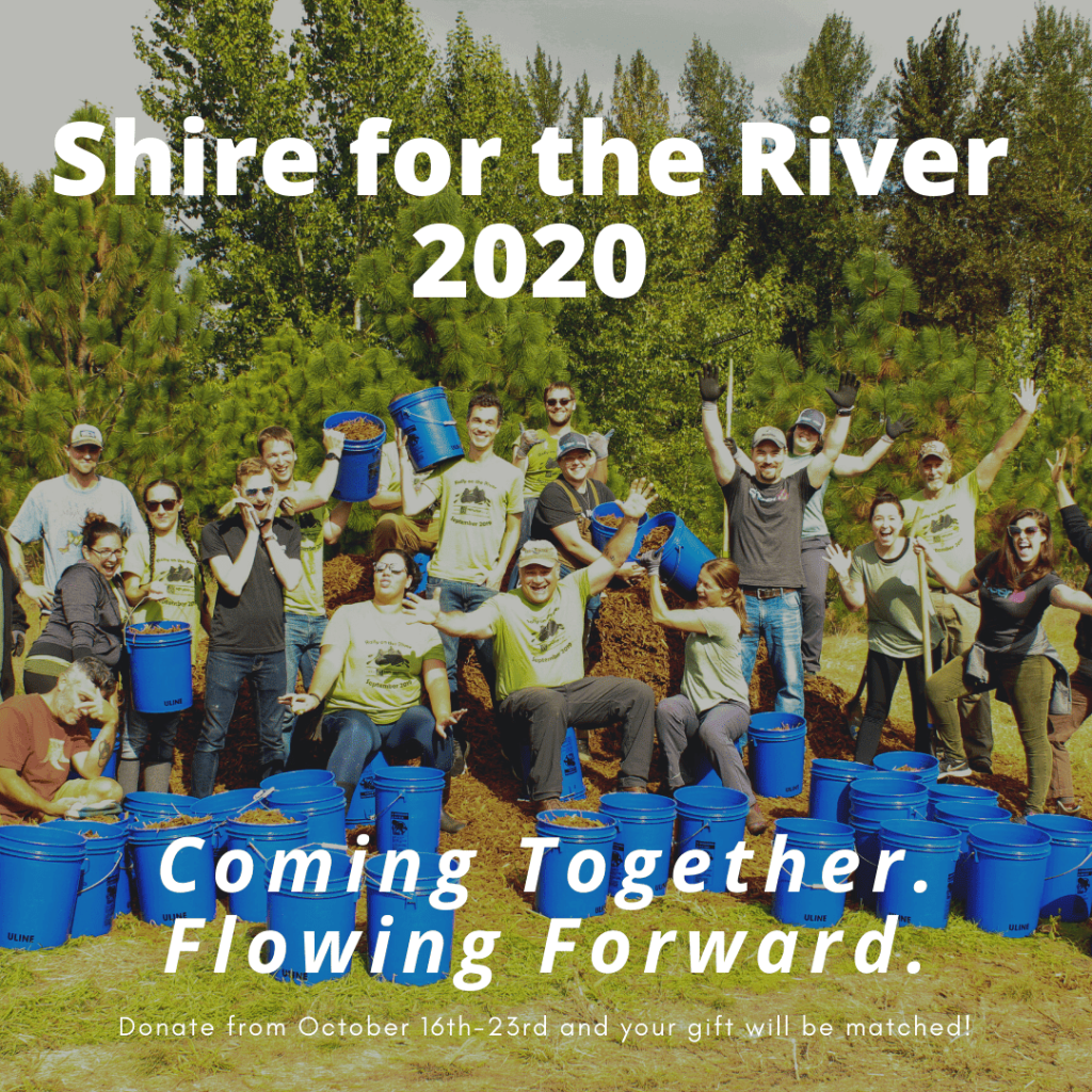 Shire for the River 2020