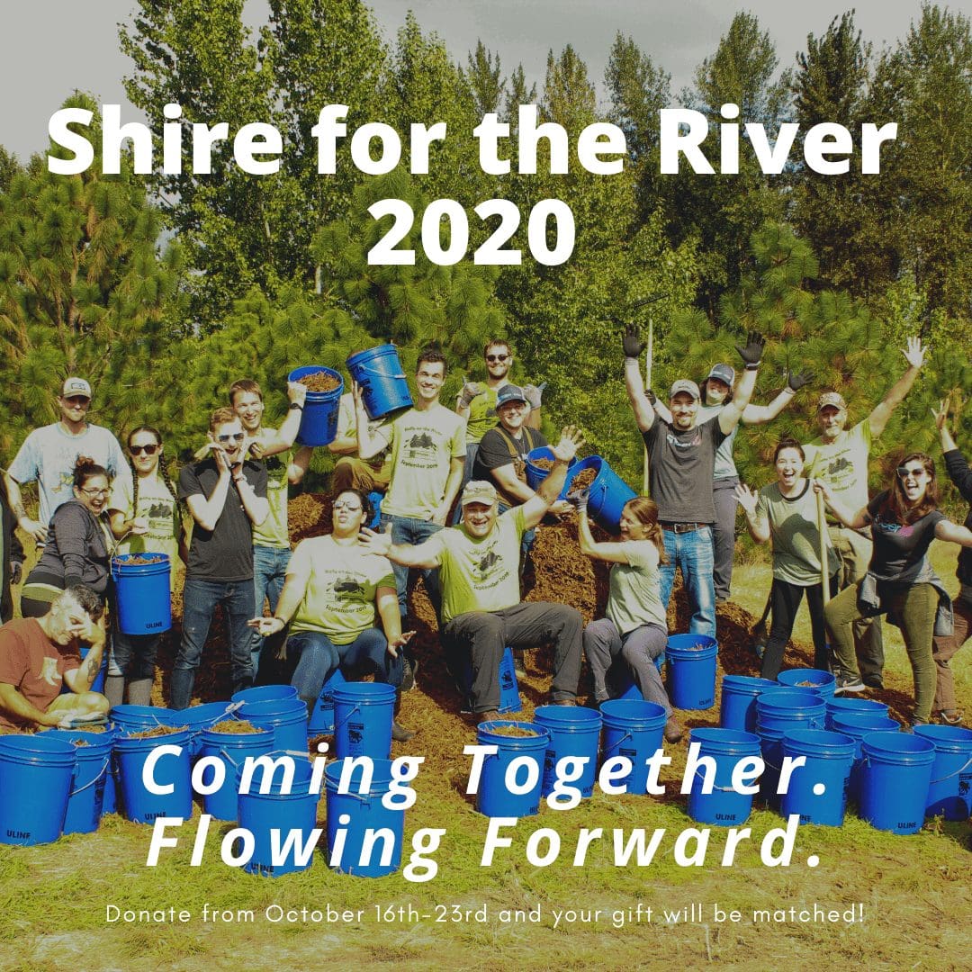 Shire for the River 2020